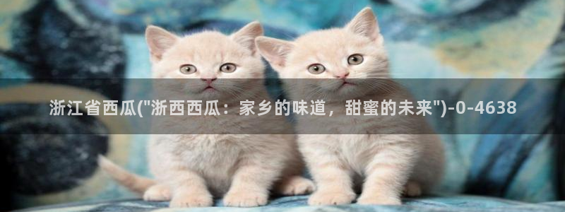 西瓜影院在线观看`