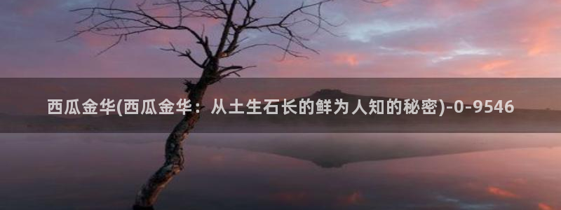 隔壁的女孩西瓜影院