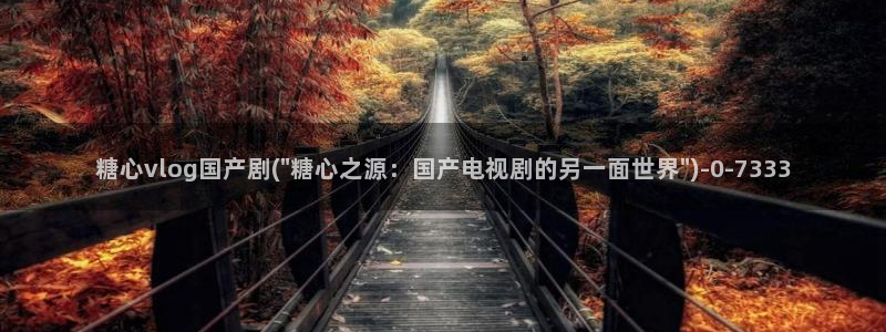 糖心vlog直接进入