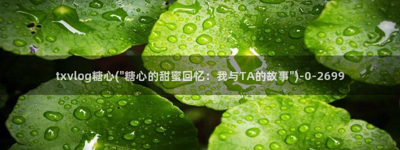 心糖vlog