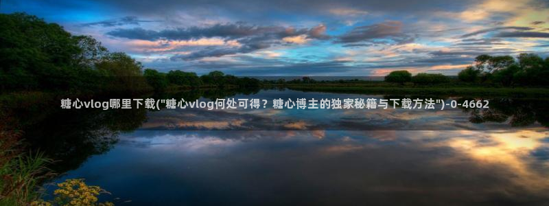 心糖vlog破解版入口