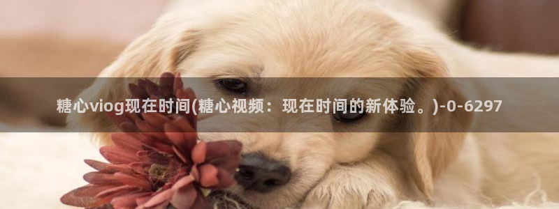 糖心vlog在线观看最新