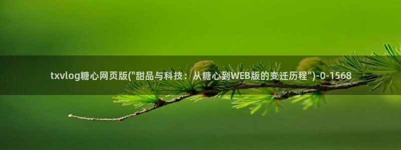 糖心vlog主页