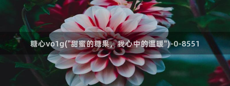 糖心.vlog