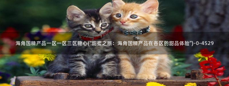 糖心vlog琪琪