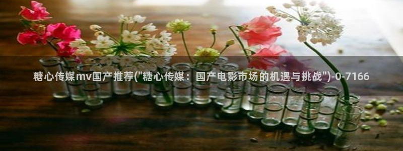 糖心vlog官方在线观看