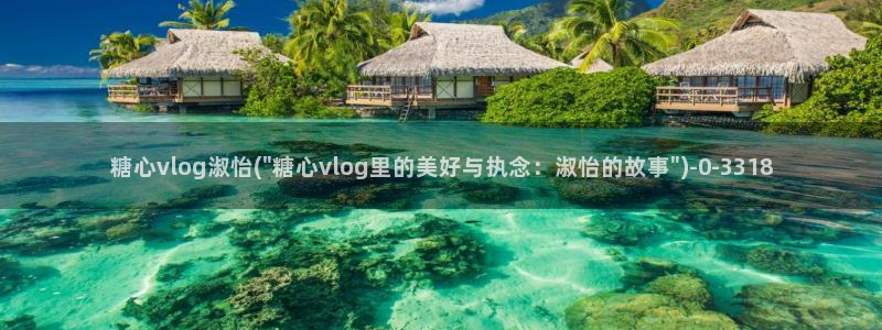糖心破解版vlog