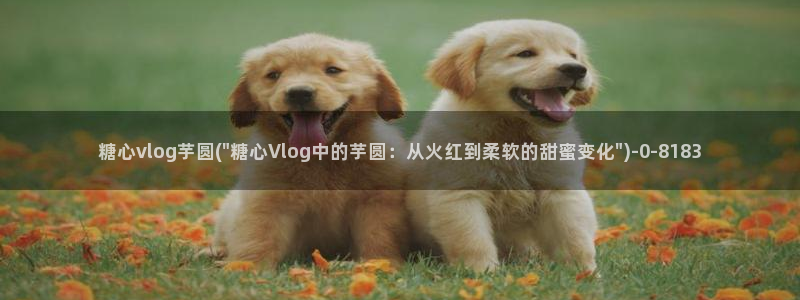 糖心vlog是一个诈骗app