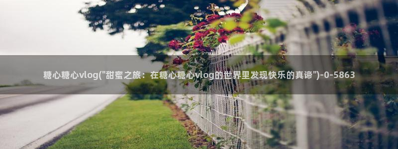 17c糖心vlog