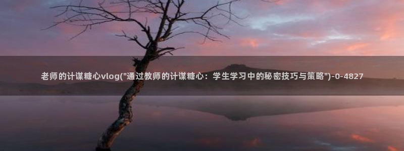 糖心vlog最新网站