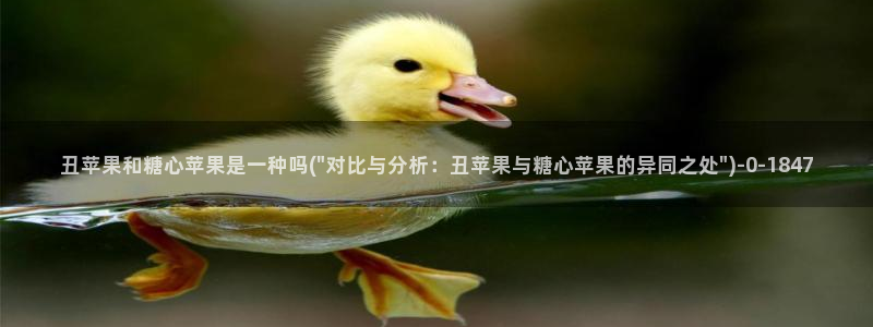 糖心vlog在线进入